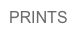 PRINTS