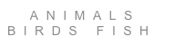   ANIMALS
BIRDS FISH