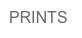 PRINTS